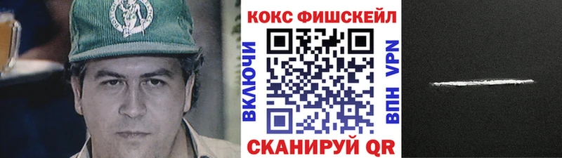 Купить закладки  Высоковск  COCAIN 98% 